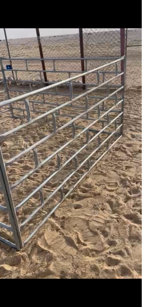 شبوك غنم بيبات - 2