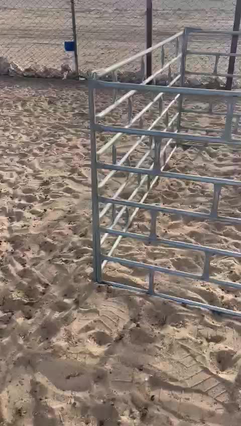 شبوك غنم بيبات - 4