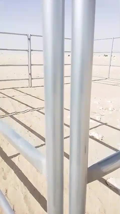 شبوك ابل 3 متر - 3