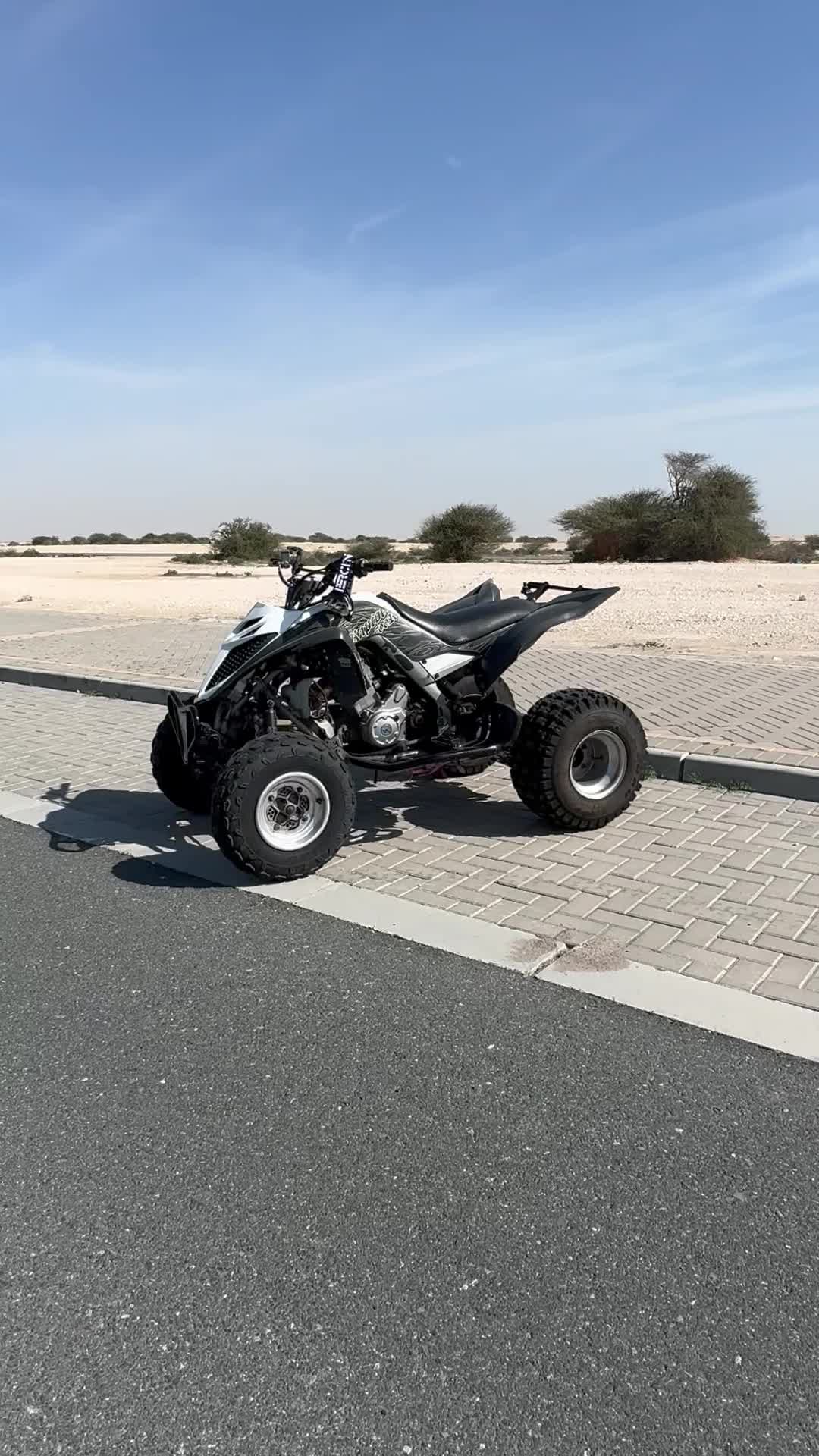 Raptor 700R - 5