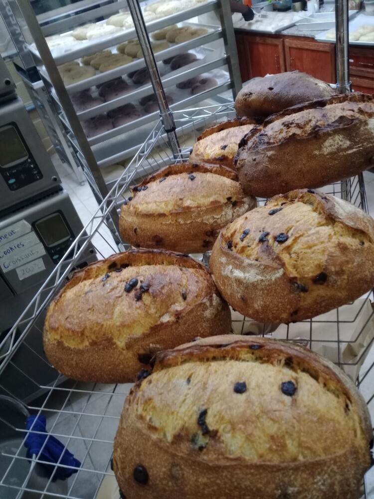 Professional baker - 15