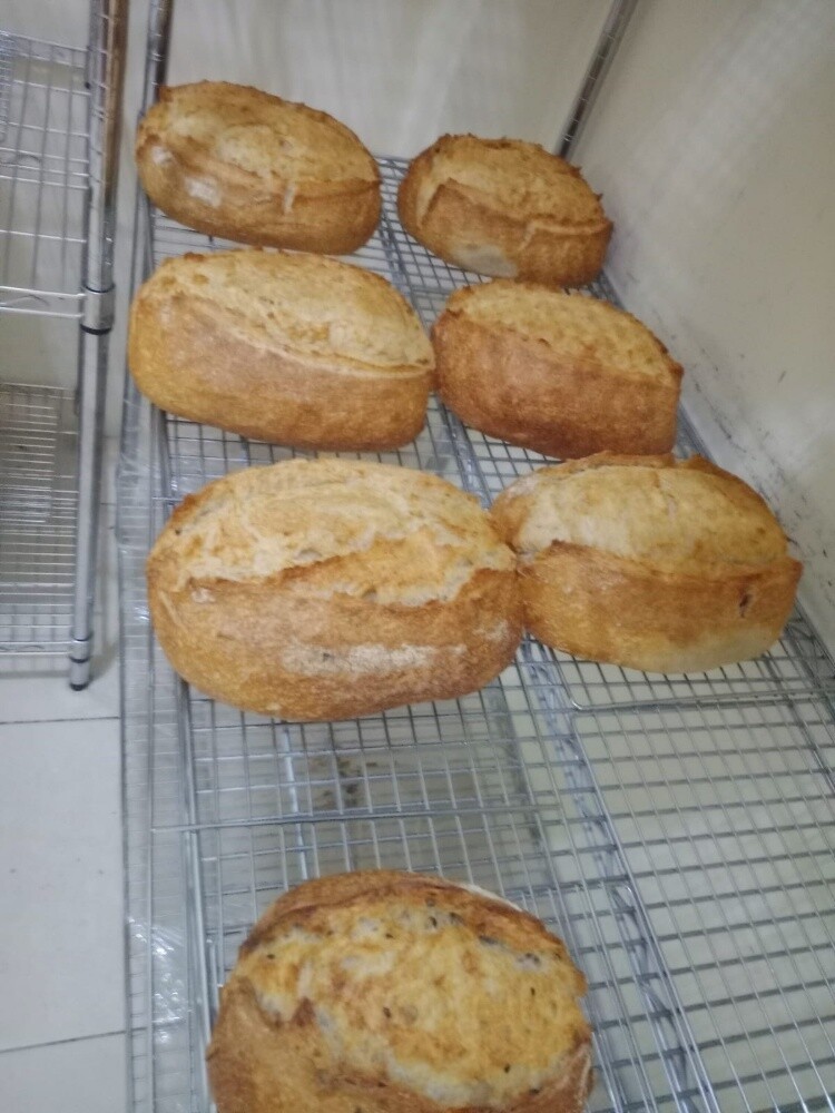 Professional baker - 14