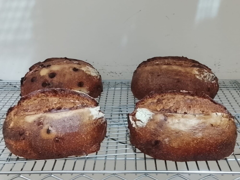 Professional baker - 11