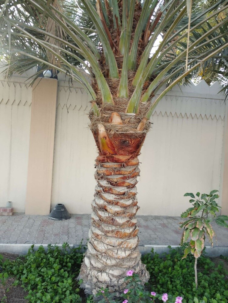 مهندس زراعي - 4