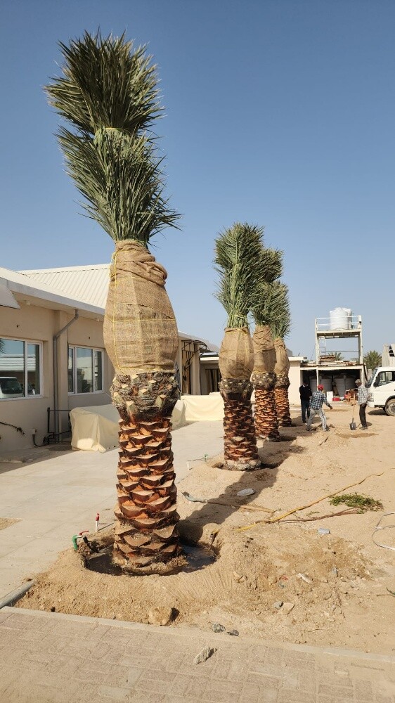 مهندس زراعي - 2