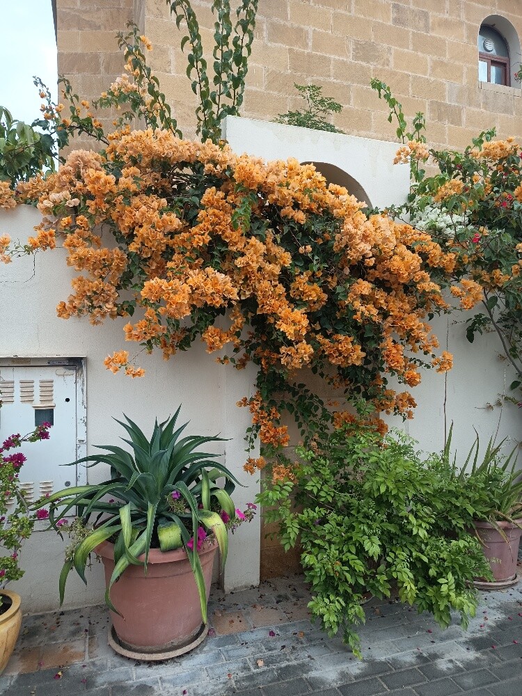 مهندس زراعي - 3