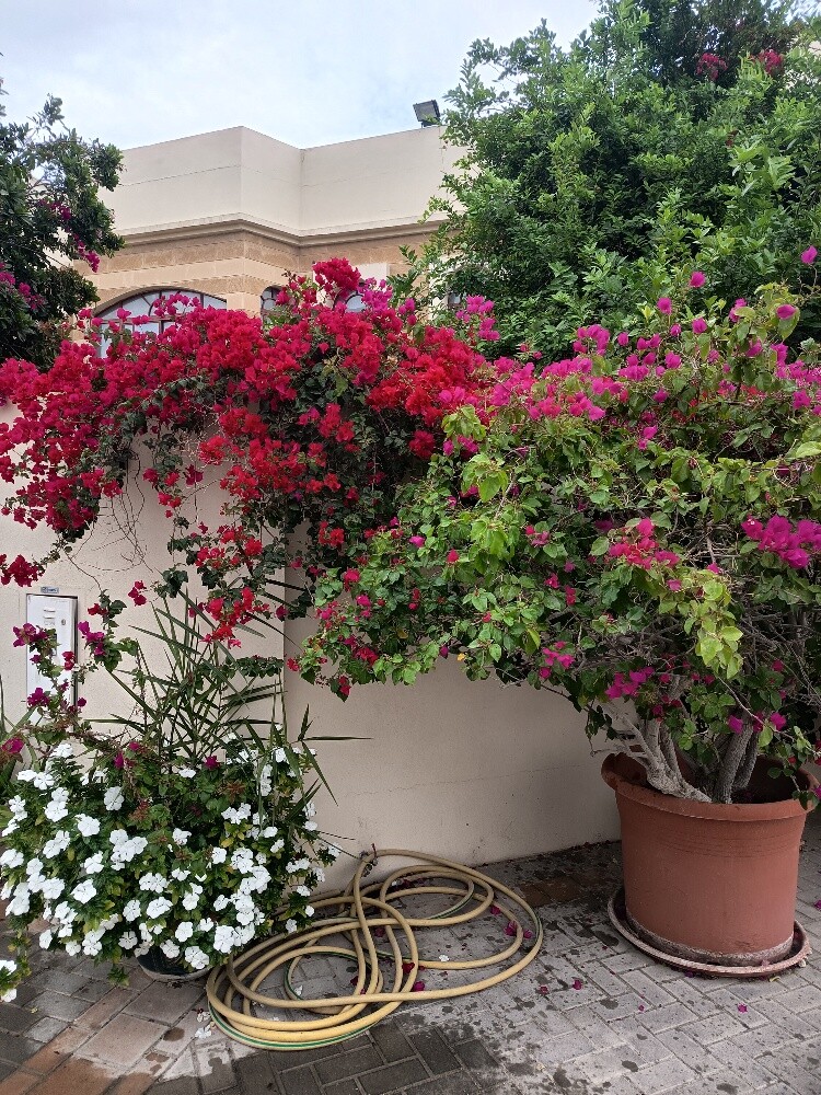 مهندس زراعي - 6
