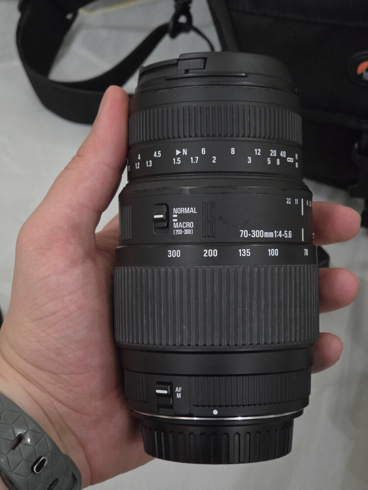 canon camera 80D - 2