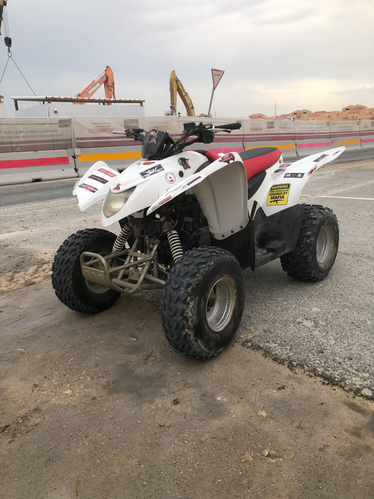 aeon cobra 100cc  - 3