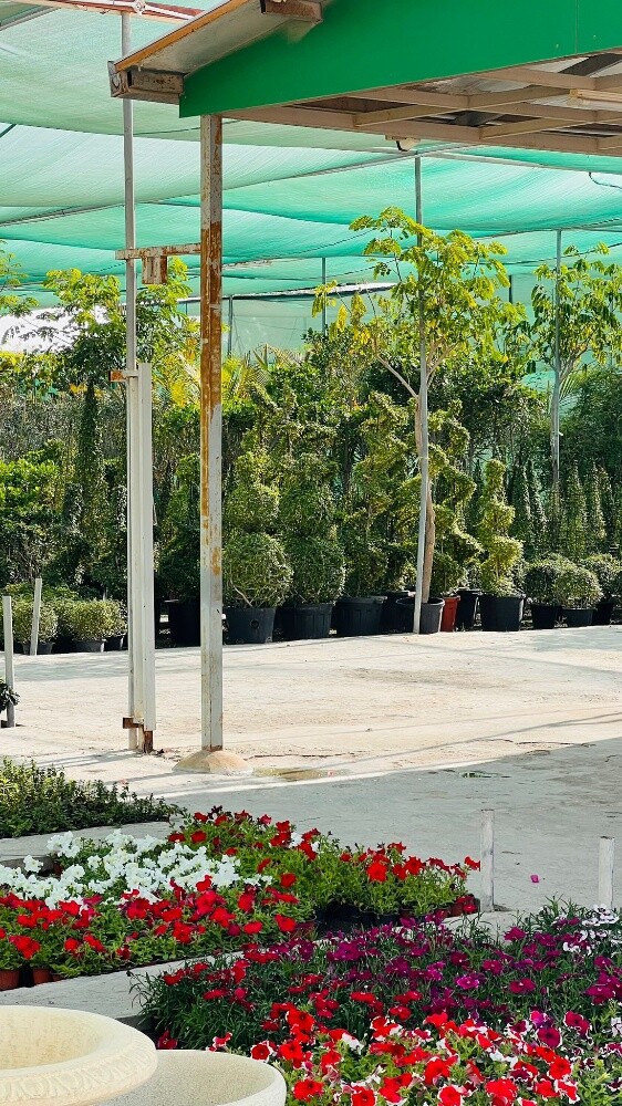 العنايه بالحدائق - 20