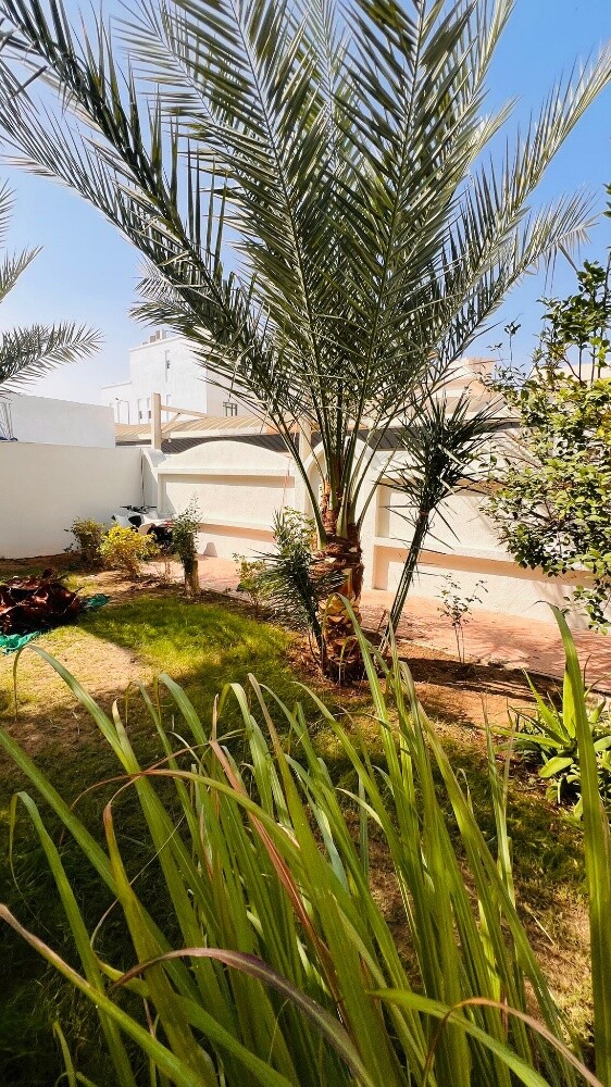 العنايه بالحدائق - 25