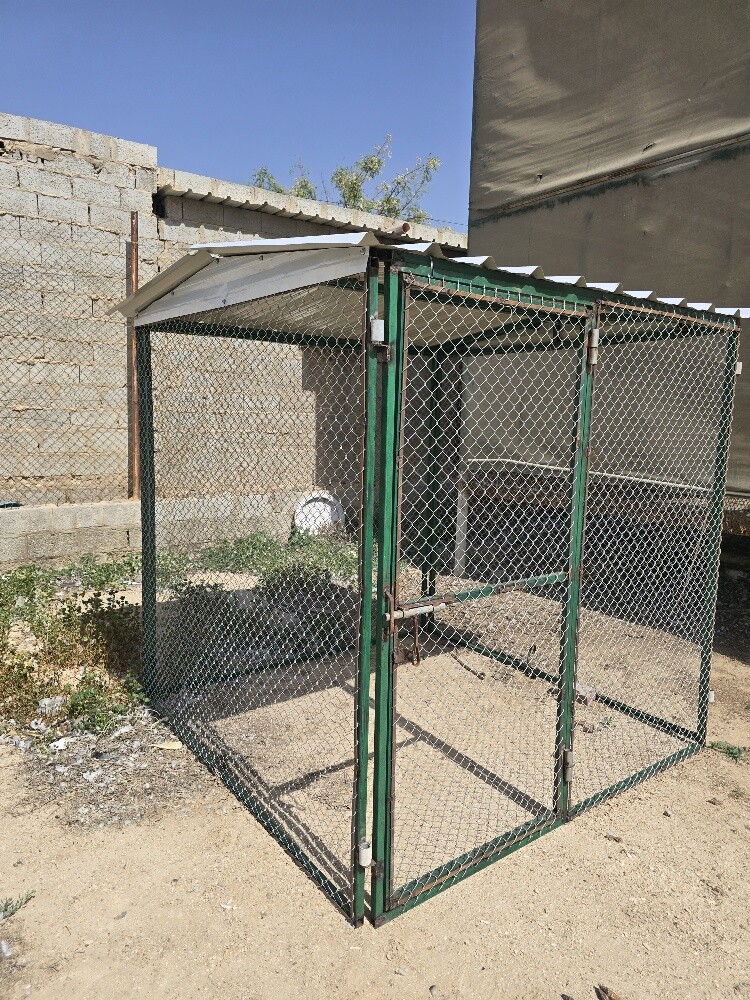قفاز  2/2 - 2