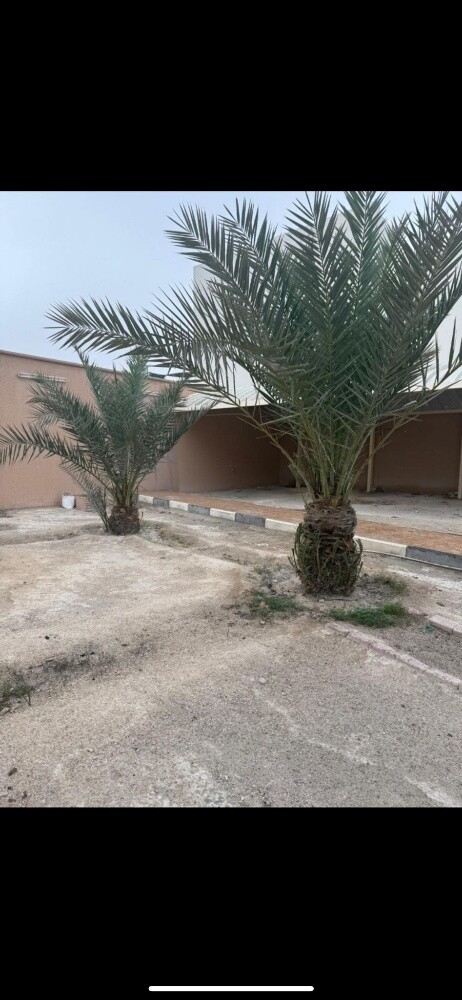 الديكور و الشلالات - 14