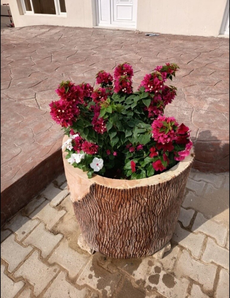 ديكور حدائق - 1