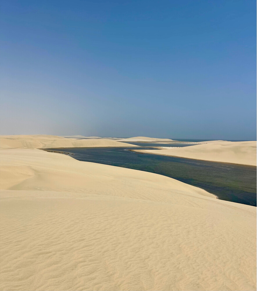 Doha desert safari tour - 10