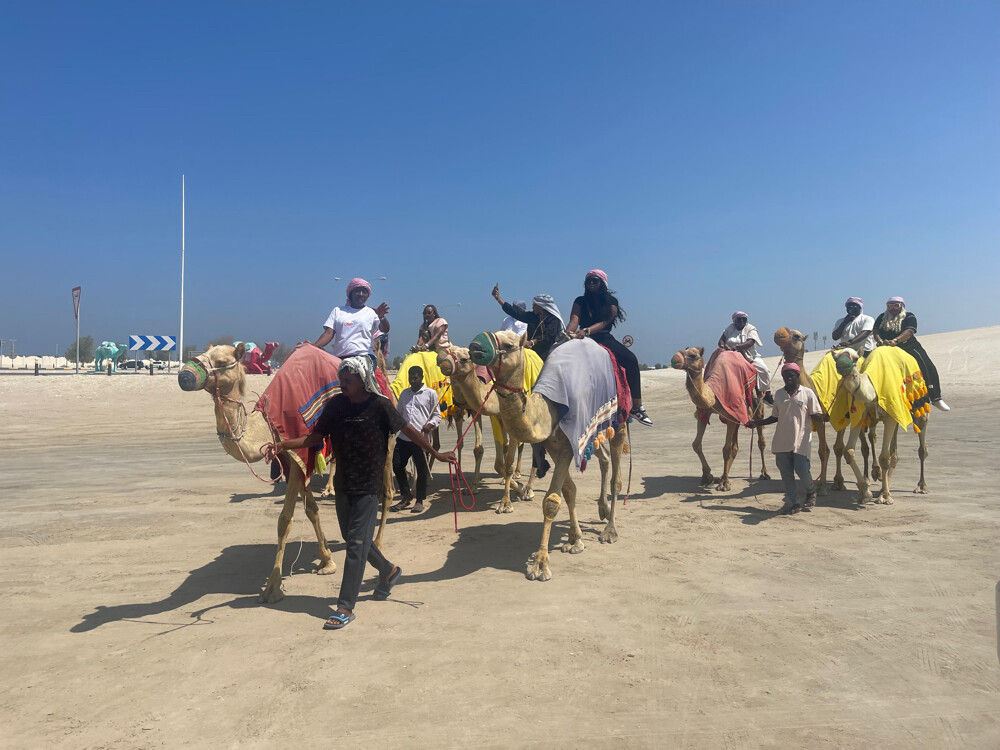 Doha desert safari tour - 5