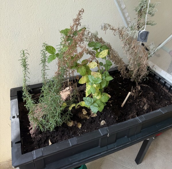 Vegepod - 1