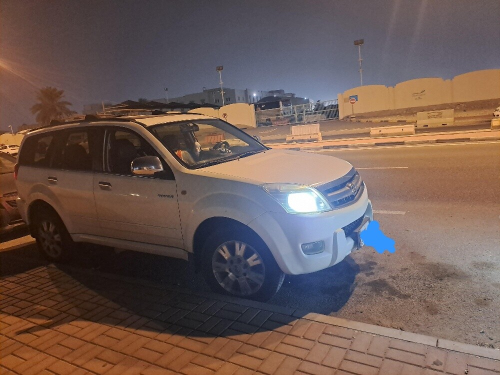 صينية - 4