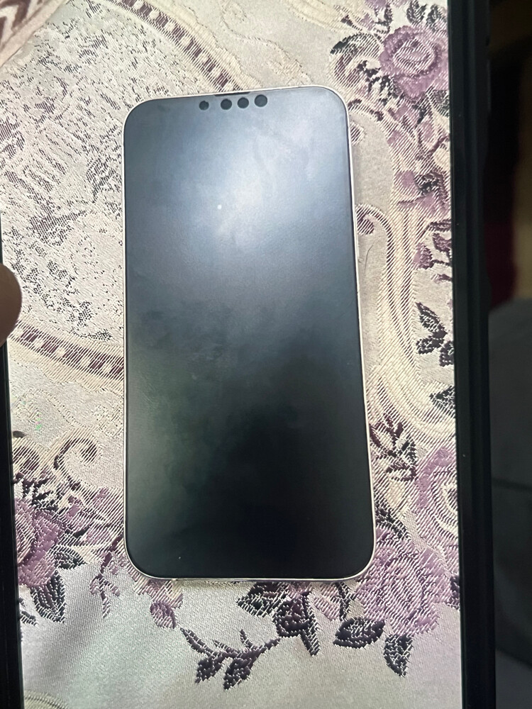 iPhone 13 Pro Max 256gb - 1