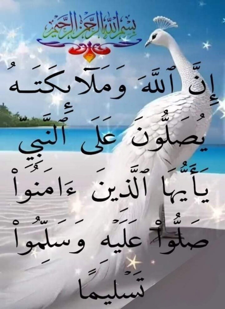 سائق - 1