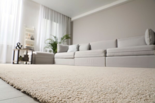 All Kinds of Carpet-Sofa Selling - 7