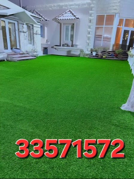All Kinds of Carpet-Sofa Selling - 17