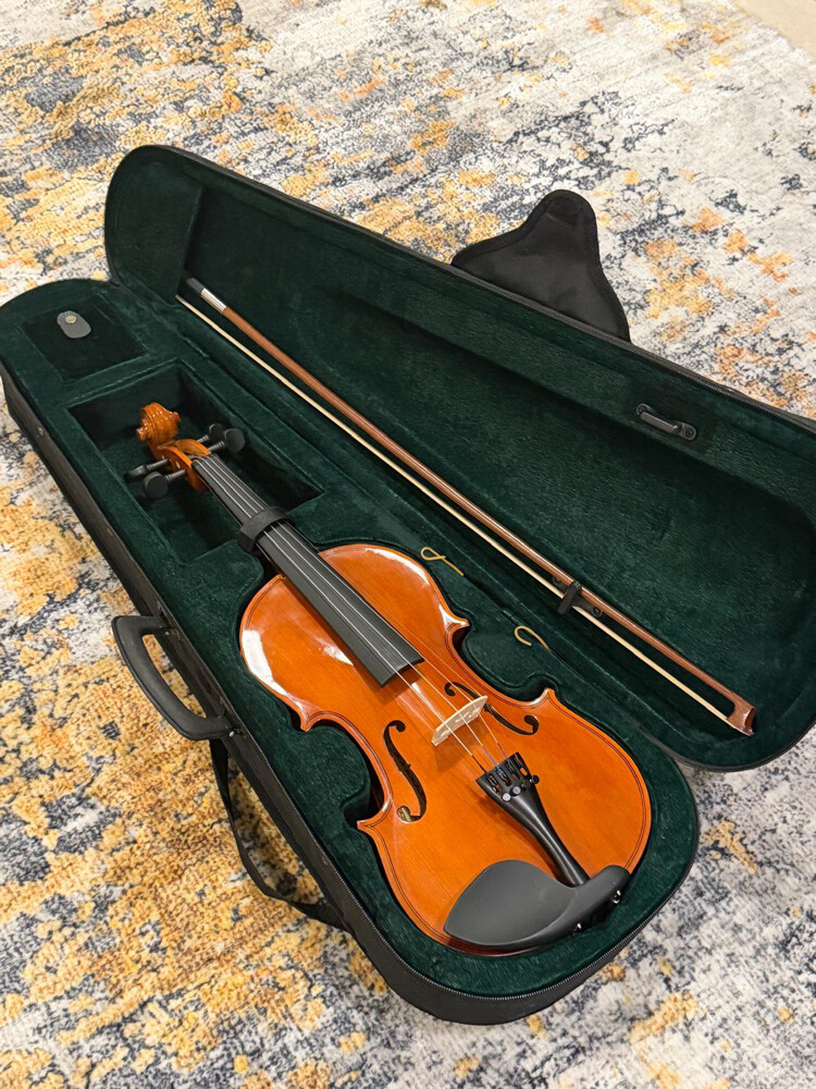 violin : - 5