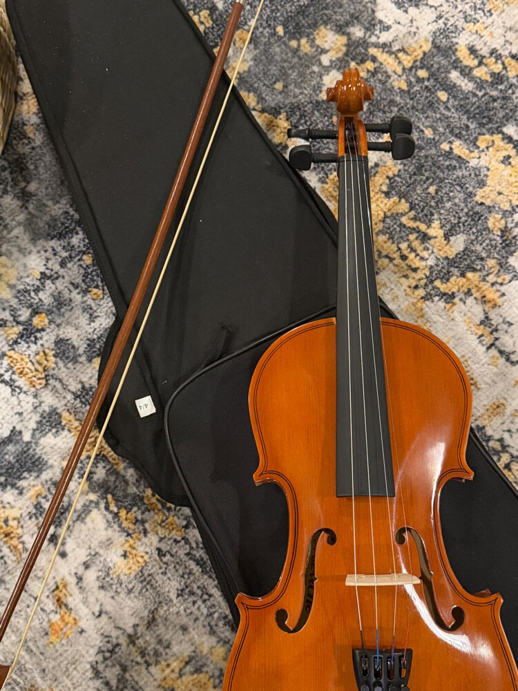 violin : - 3