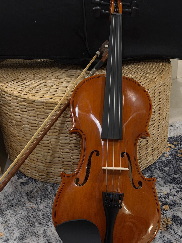 violin : - 2