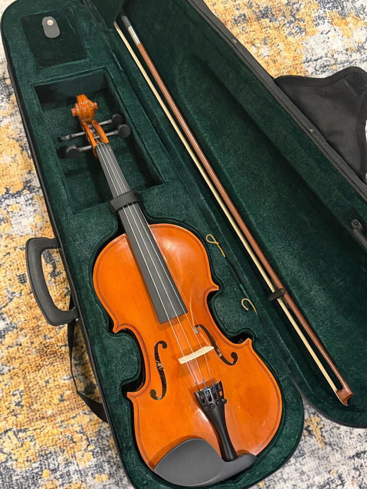 violin : - 1