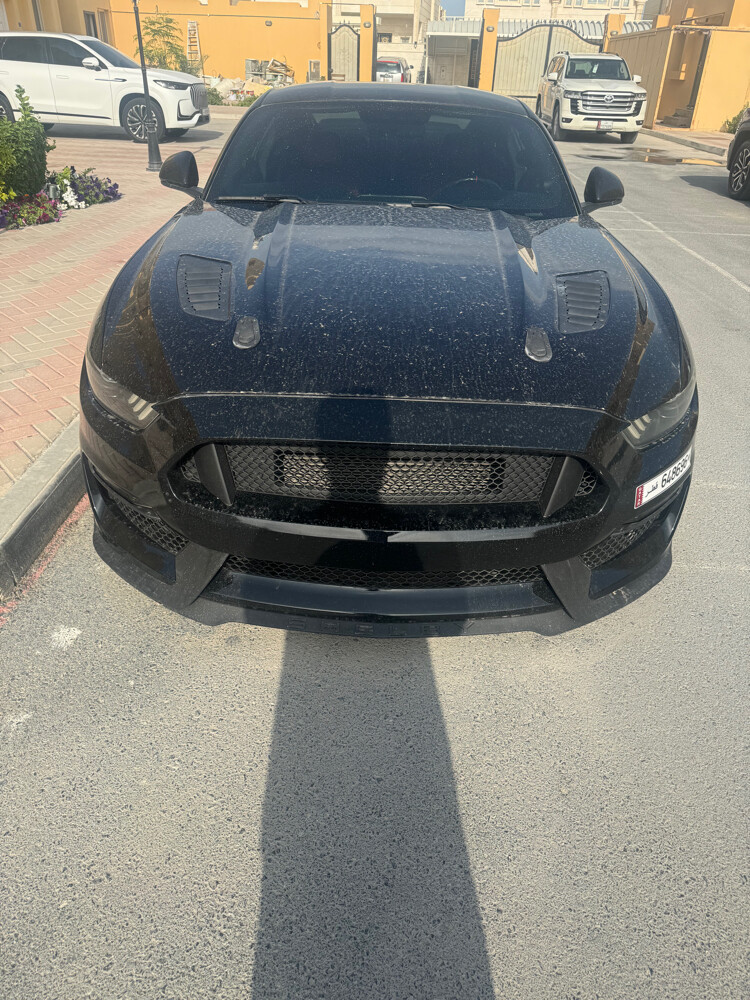 موستنج ٢٠١٥ جي تي  - 6