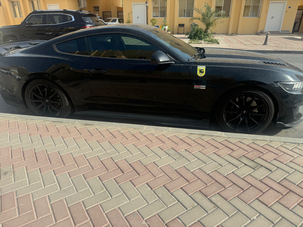 موستنج ٢٠١٥ جي تي  - 5