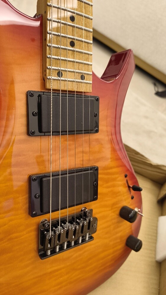 Electric Guitar - Sevelanna - 3