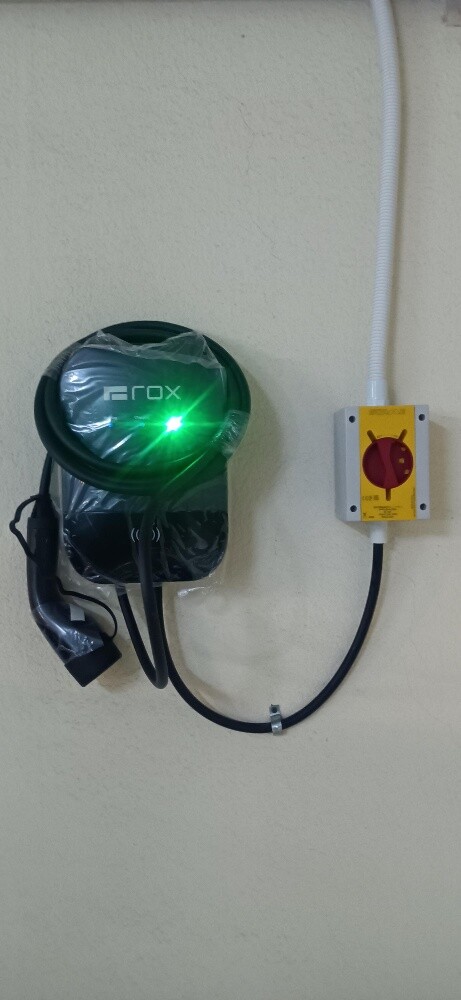 Rox, ByD,  tesla - 6