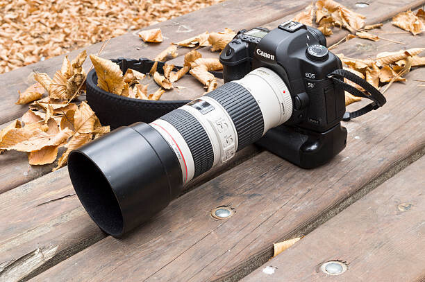 Canon EF 70-200mm f/2.8 IS II USM - 2