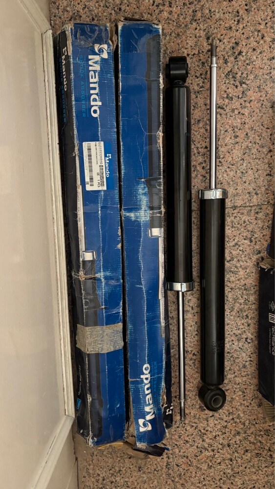 جنبينات سوناتا جداد  - 3