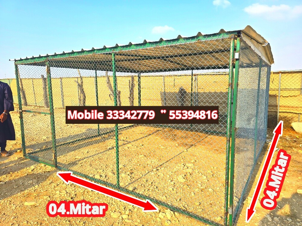 gofas mal hamam 4/4 - 1