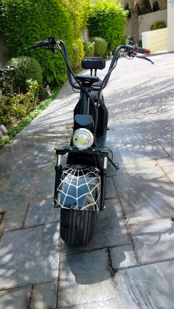 scooter and Harley bike - 9