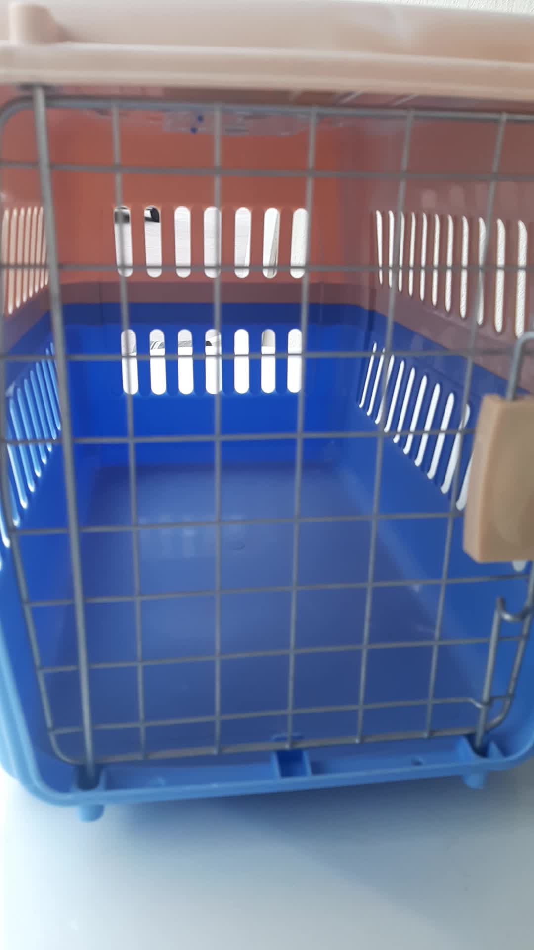 قفس قطط و کلاب - 1