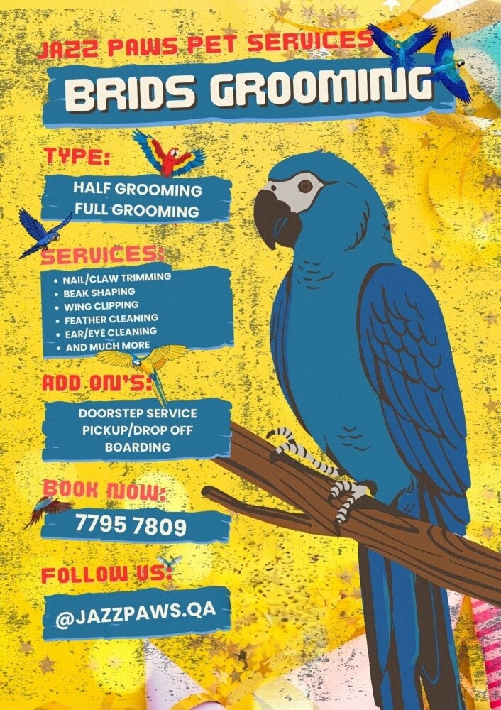 Bird Grooming  Home Services - 1