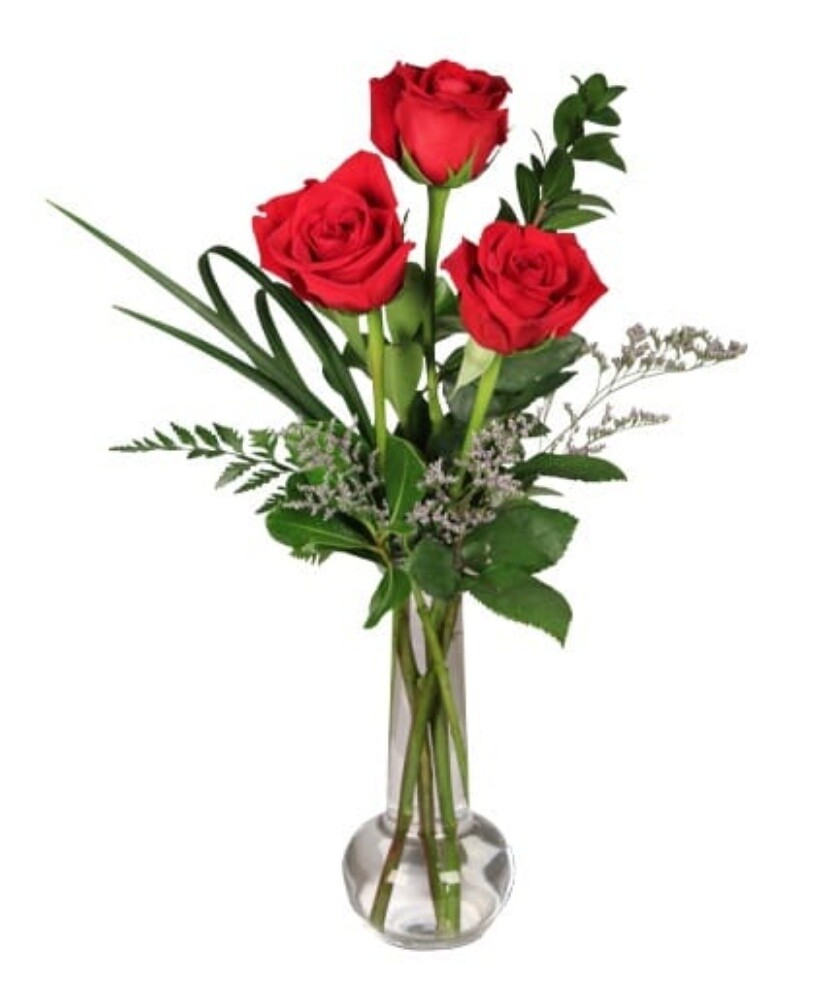 jiardini flowers - 3