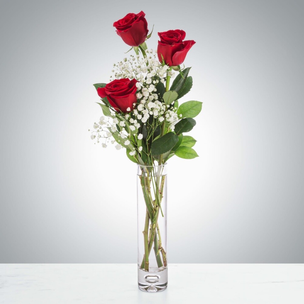 jiardini flowers - 2