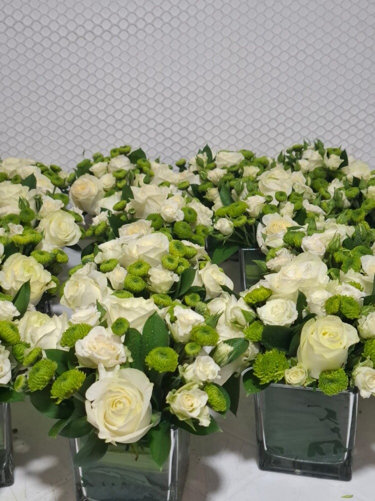 jiardini flowers - 12