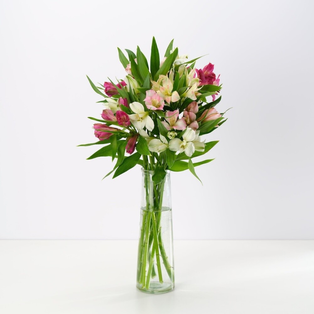 jiardini flowers - 5