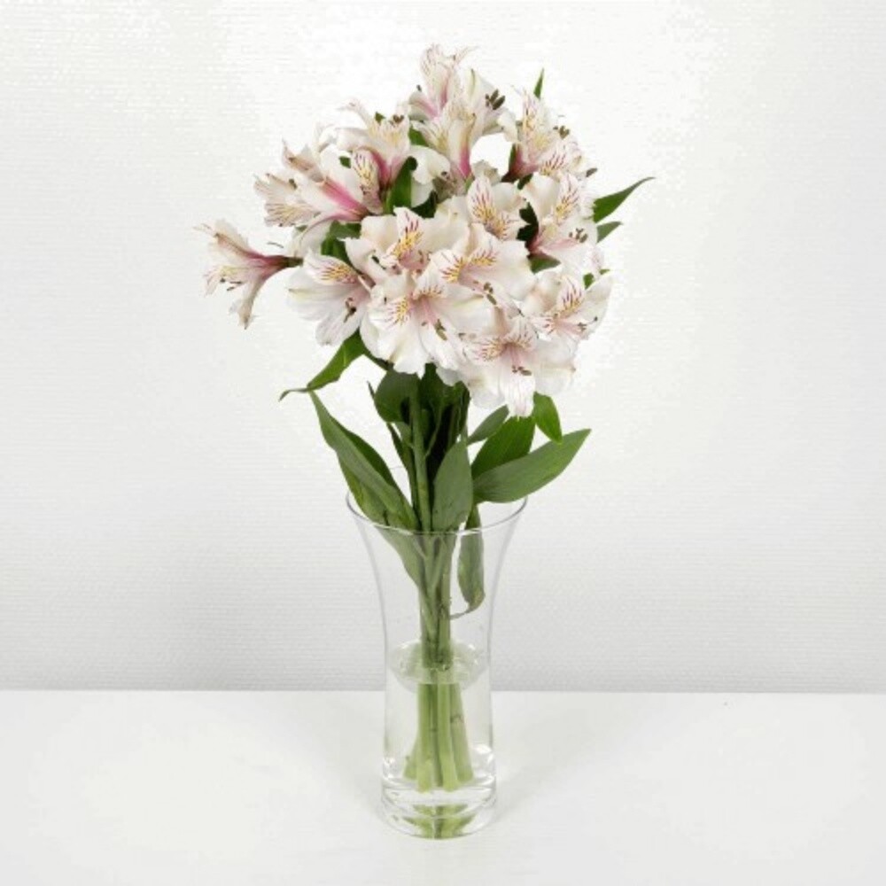 jiardini flowers - 4