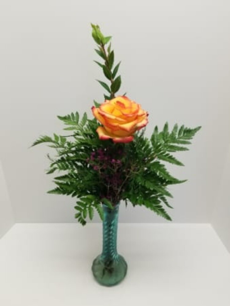 jiardini flowers - 8