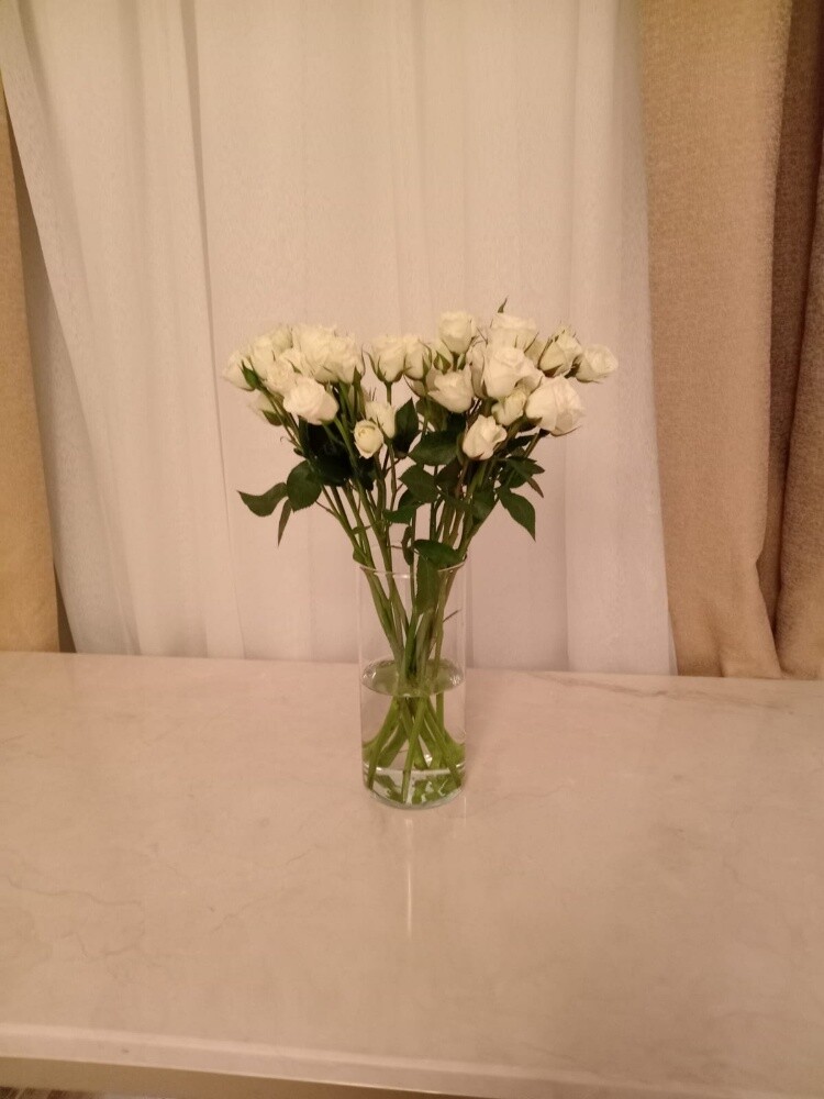 jiardini flowers - 20