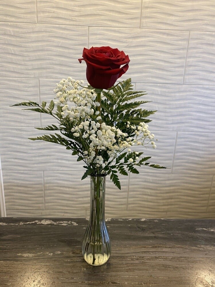 jiardini flowers - 6