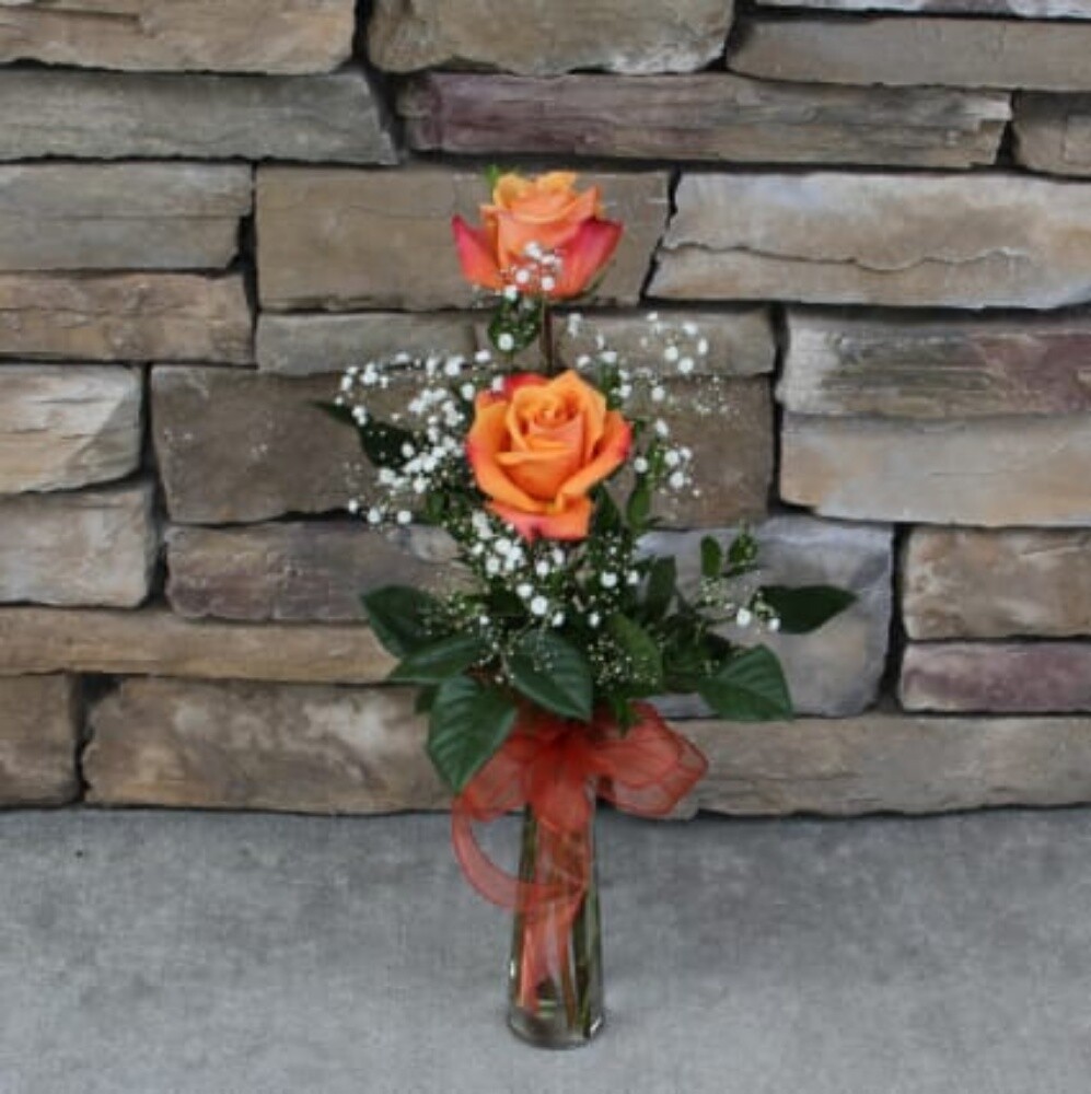 jiardini flowers - 11