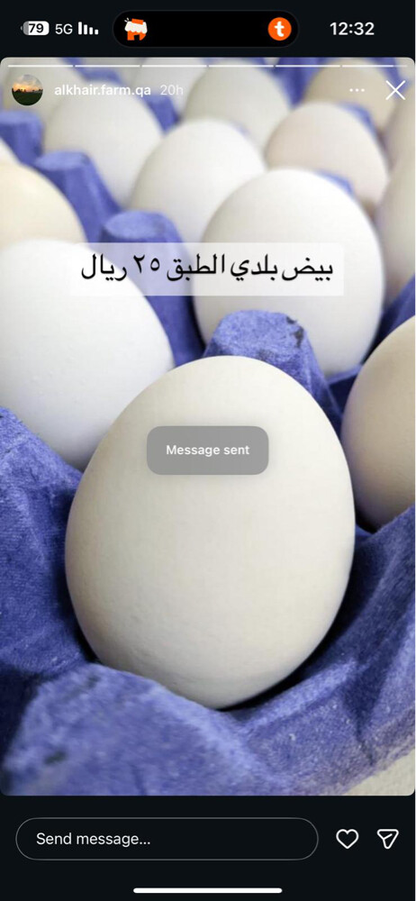 بيض بلدي انتاج المزرعه  - 1
